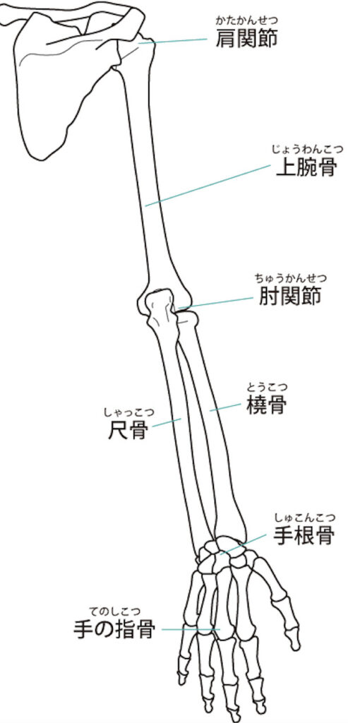 肘内障 愛泉道院 健笑苑